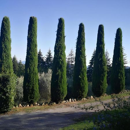 Casa Marconi Villa Vetriano Eksteriør billede