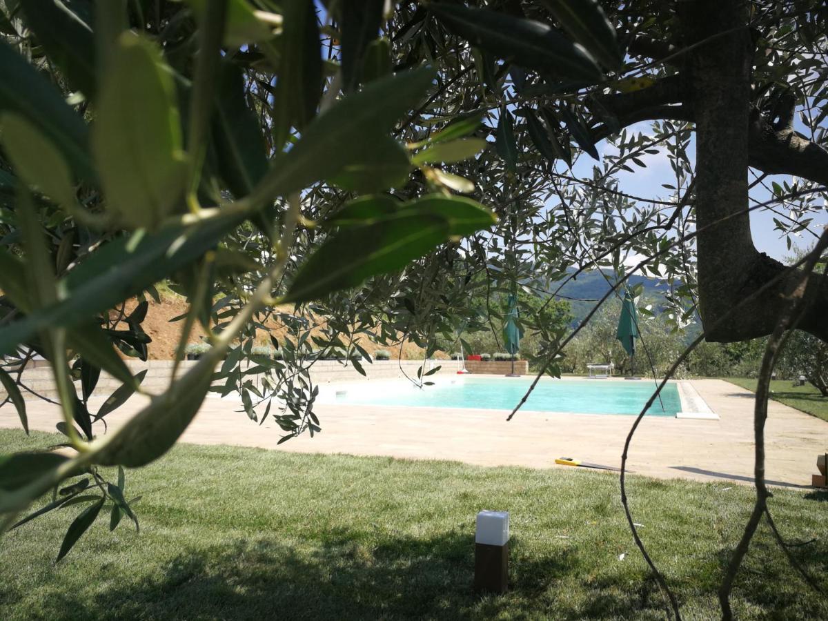Casa Marconi Villa Vetriano Eksteriør billede