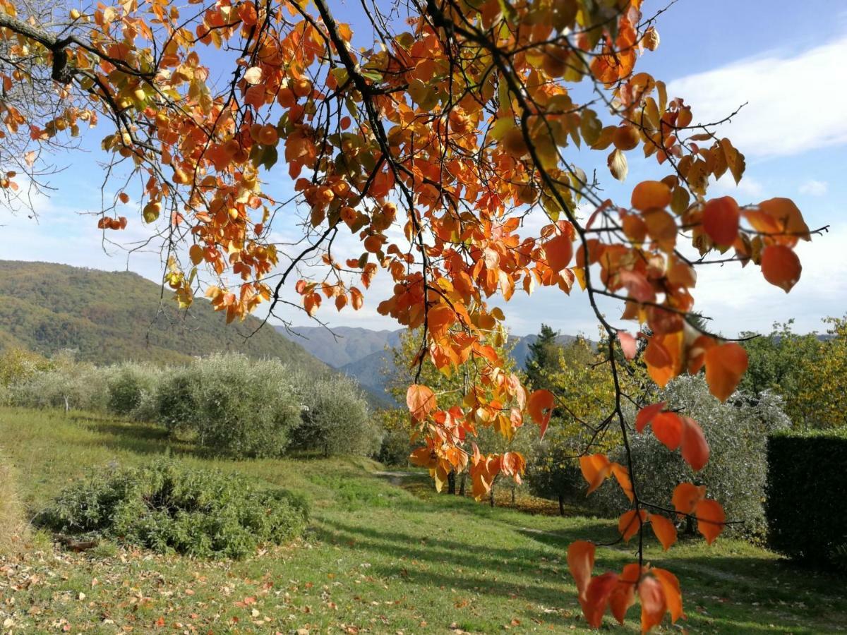 Casa Marconi Villa Vetriano Eksteriør billede